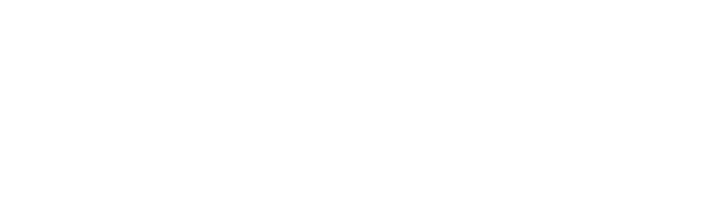 Logo hawik blanc